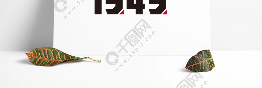 1949数字艺术字