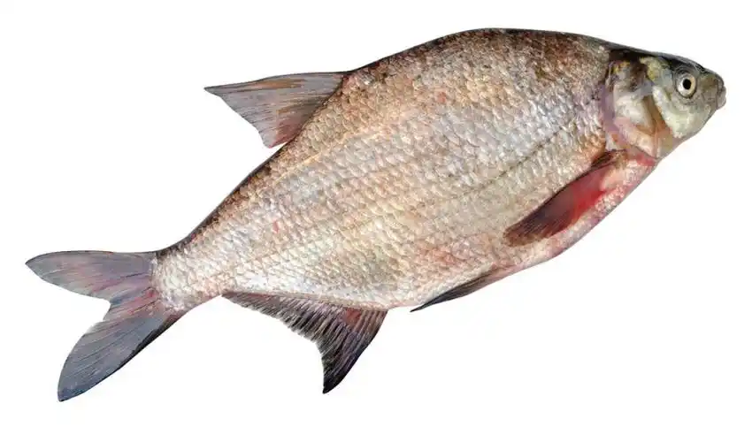 鳊鱼怎么做好吃?