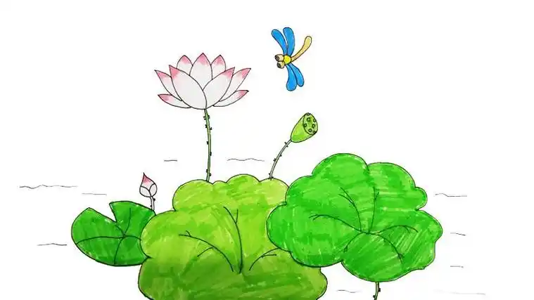 荷花蜻蜓怎么画简笔画