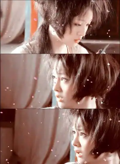 郑爽#凰图腾 彩蝶一个人的风花雪月