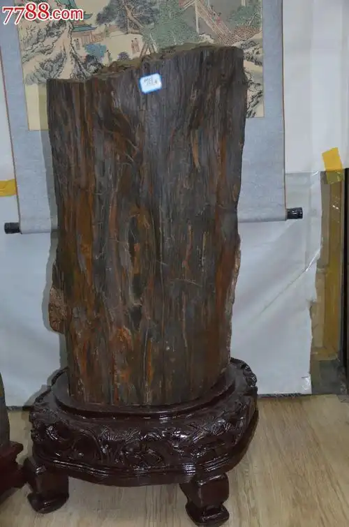 木化石-价格:6000.0000元-se25340714-硅化木/木化石-零售-7788收藏