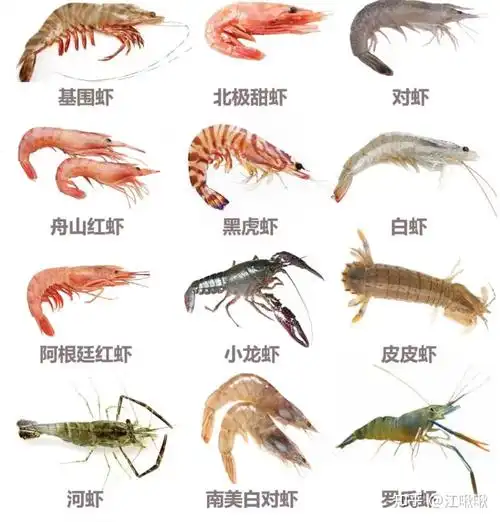 深海虾和淡水虾有什么区别