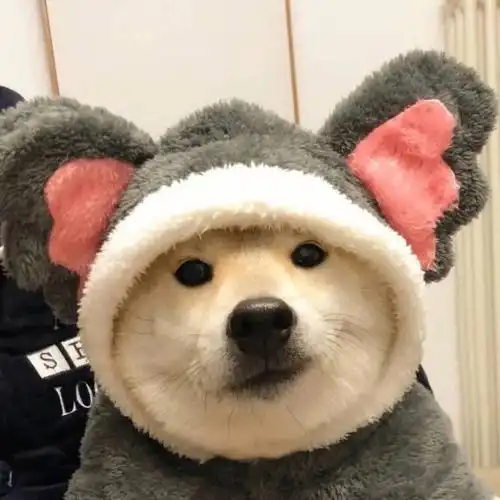 沙雕可爱搞笑头像