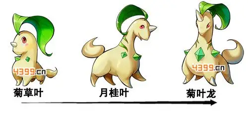 去吧皮卡丘精灵资料查询: 菊草叶>,一转形态是月桂叶,二转形态是菊叶