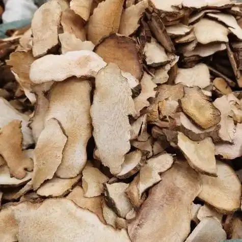 土茯苓#中药材#别名:禹余粮,白余粮,革刺猪苓,土萆薢,冷饭 - 抖音