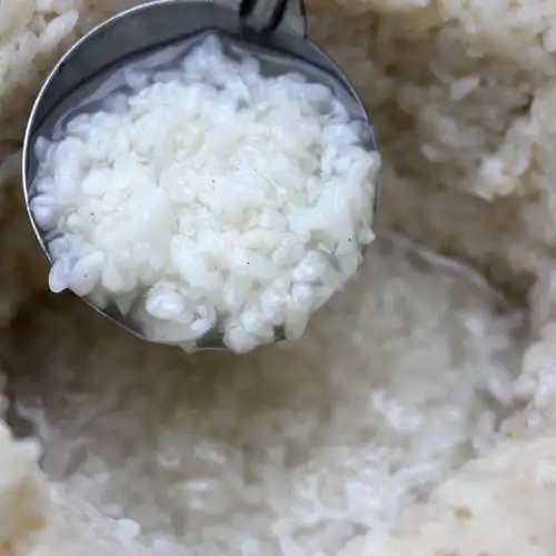 大瓶装来啦!手工原瓶发酵窝窝醪糟608克 纯糯米酒酿孕产妇月子餐