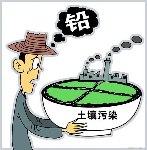 身体重金属毒素超标吃什么食物能解毒