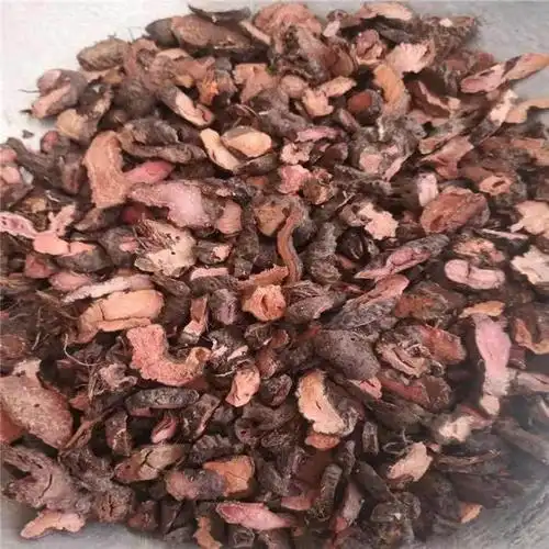 中药材批发拳参草河车