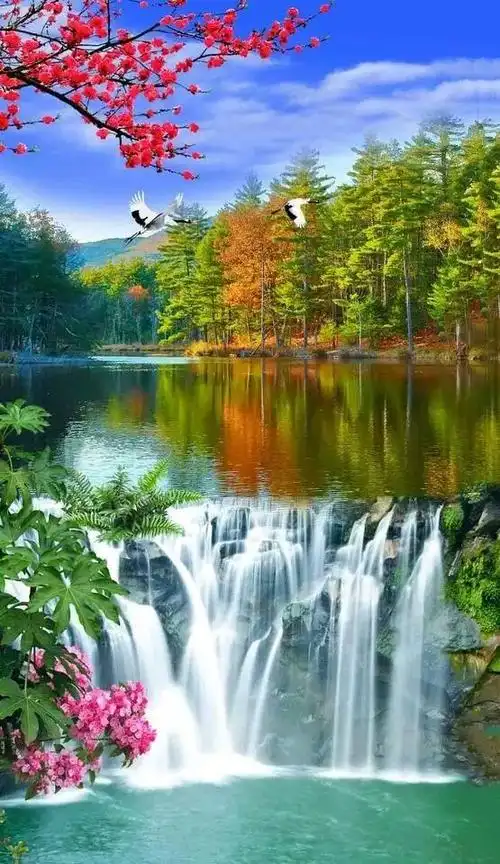 《美景壁纸》最美壁纸送给大家!让你的手机屏幕更加更好更美!