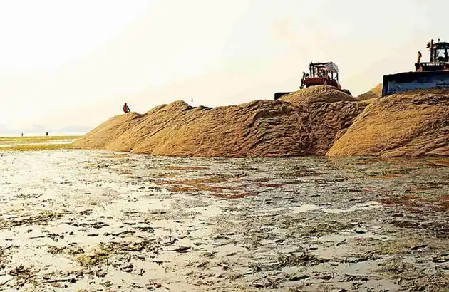 什么是填海有什么不同的意思