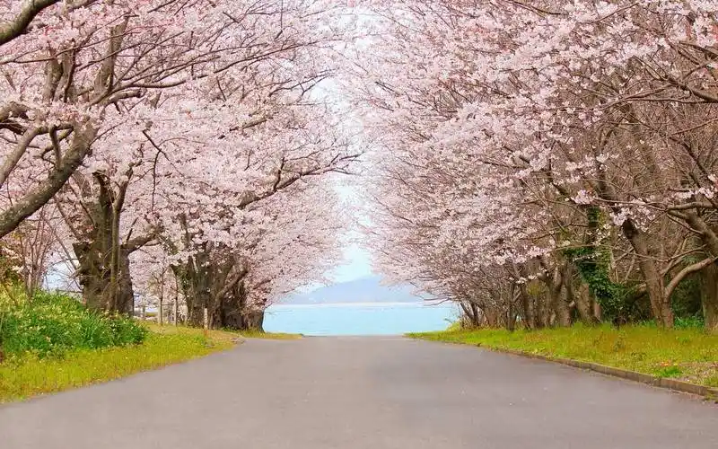 快手代刷活粉-qq刷赞网站墨言代刷网-宝龙卡盟官网,快手刷直播点关注