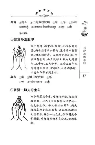 佛教小百科集一辑17佛教的手印中国社会科学出版社2003pic100