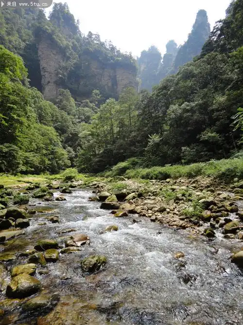 美丽的张家界金鞭溪
