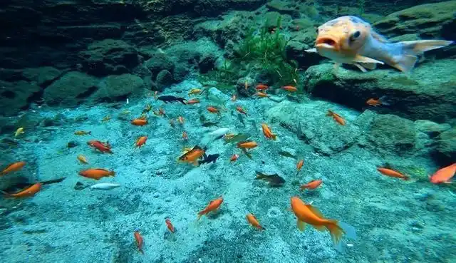 诗画名泉│玛瑙泉:一方清泉池 光照如玛瑙 溢动似垂帘