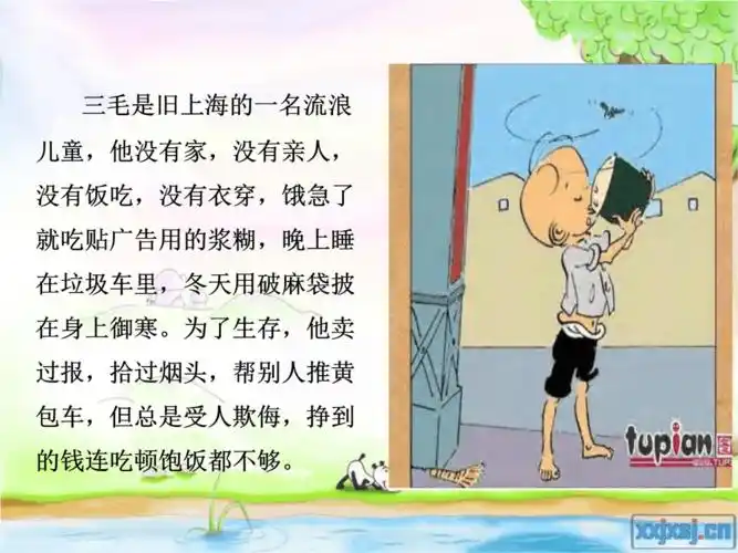 好书推荐三毛流浪记教学文稿ppt18页