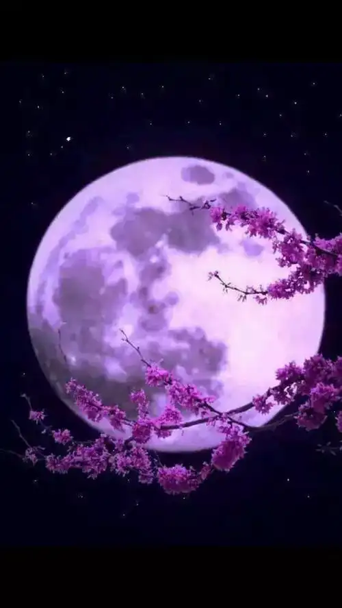 八月十五,世界的月亮,中国人的思乡情怀.中秋夜带你领略月色之美!