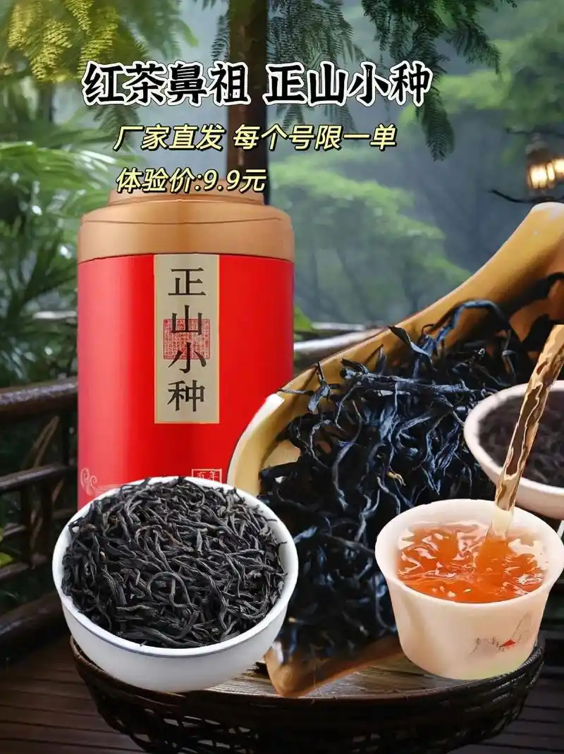 正宗武夷山正山小种红茶