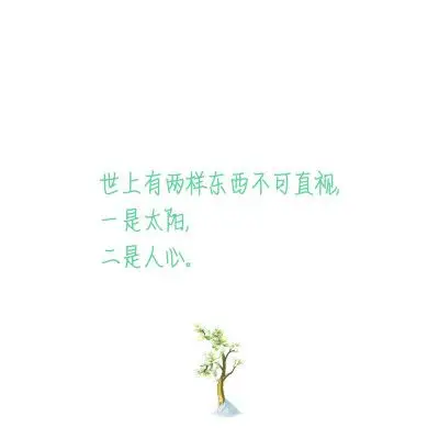 世上有两样东西不可直视,一是太阳,二是人心.《白夜行》