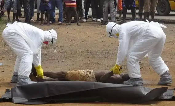 非洲死神埃博拉有多可怕致死率超过90两天溶解内脏器官慎入