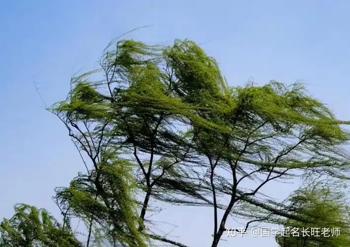 如果房子附近风大,首先容易产生噪音,每当刮风的时候,屋子里就会响起"