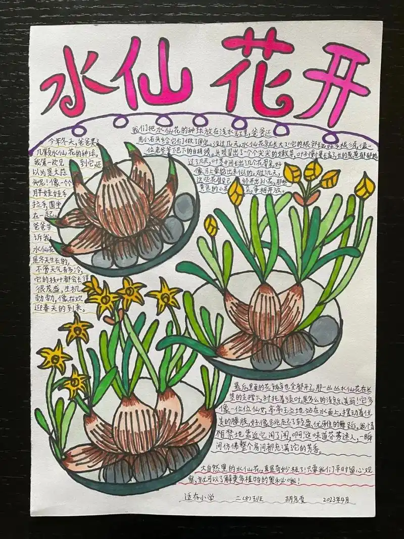 活动获奖作品出炉上海动物园自然笔记征集结束