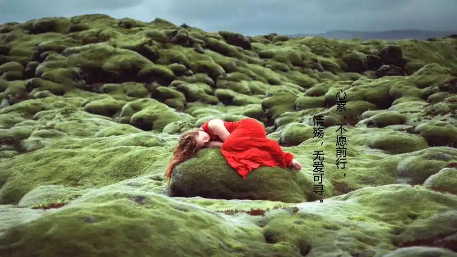 心里很累很迷茫的句子