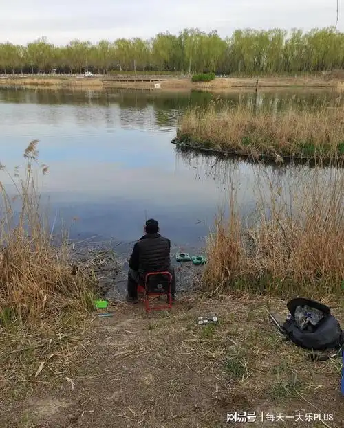 点赞北京钓鱼人钓鱼习惯非常好值得全国钓友学习
