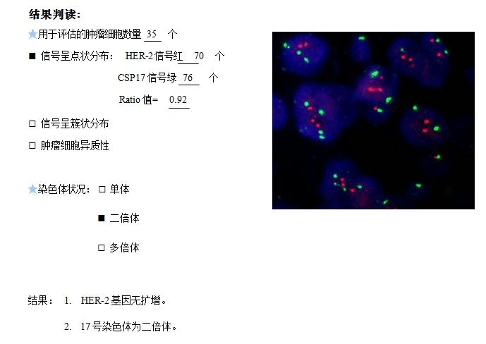 乳腺癌her2 fish检测,判读及报告