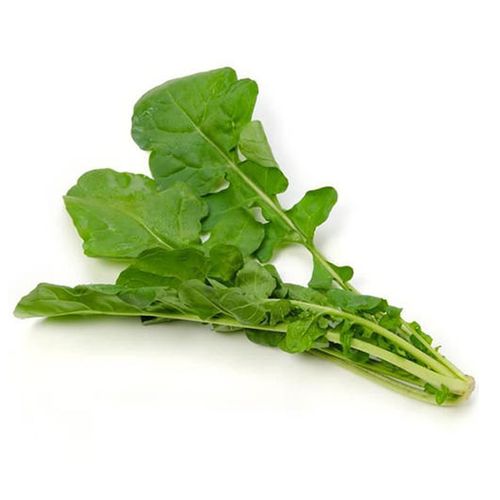 种子四季阳台盆栽蔬菜大叶臭菜种籽小叶芝麻家庭园艺种子