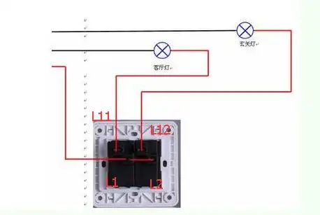 双开单控正确接线图用的是双连开关