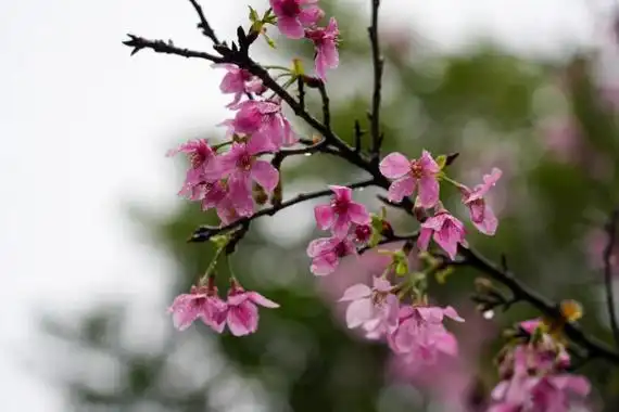 区局快报 - 广州市城市管理和综合执法局网站