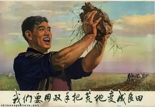 反映"北大荒"建设的宣传画