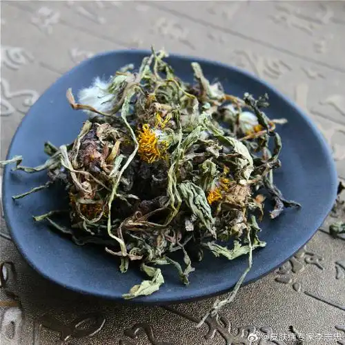 蒲公英#春天到了挖点"药草皇后",煮水喝清热毒,祛肝火,散结节!