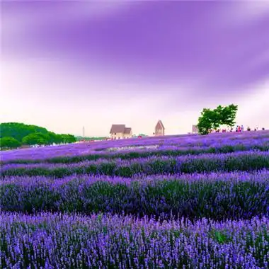 最美风景2018年招财微信头像吉利风景