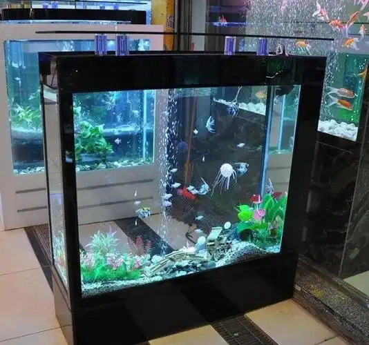 西安水族鱼缸定制厂家|西安曲江新区乐鱼悠水族馆