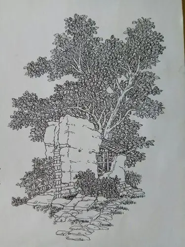 园林风景树和石头整图练习!