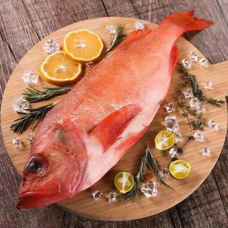 红石斑鱼3斤 整条速冻大眼鱼富贵鱼深海鱼肉多刺少海鲜水产5斤 5斤【