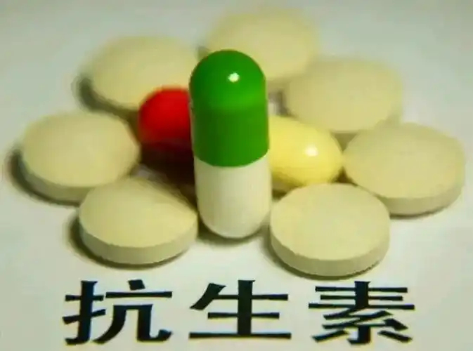 两大抗生素"阿莫西林"和"头孢"要认清,用对是宝,用错是害药