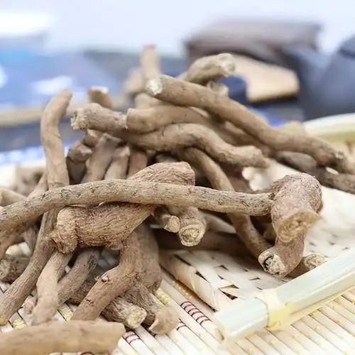 有毒植物青藤香,别名马兜铃,青木香,是国家禁用的药材,请重视