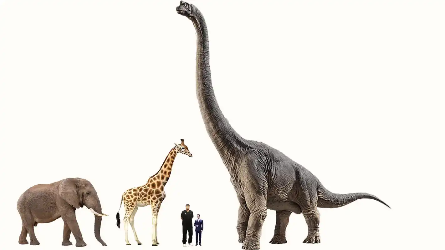 将人类和现代动物跟远古食草恐龙放在一起对比是怎样的画面?