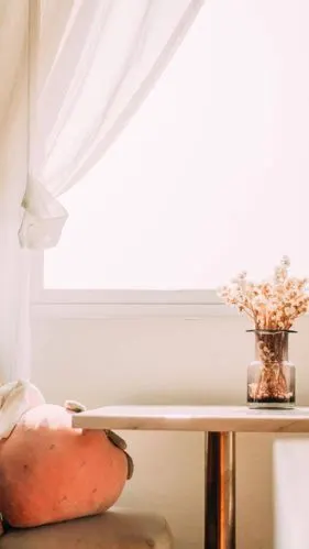 小清新 暖调 生活 场景 摄影高清原图 iph…-堆糖,美好生活研究所