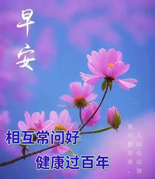 今日最新版早上好表情图片大全,没有千言万语,只有真心祝福