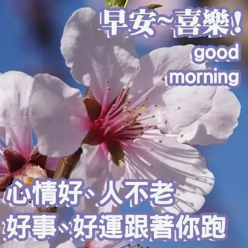 早上好的最佳图片2021 早上好问候语图片大全 朋友早上好祝福语