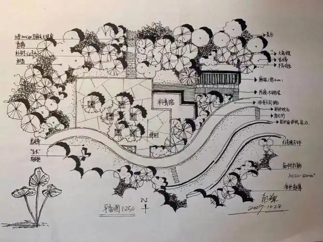 存几个植物配置画法