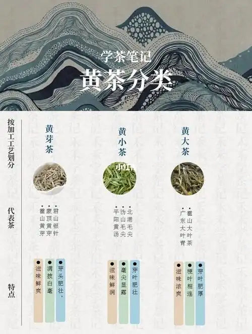 学茶笔记黄茶分类