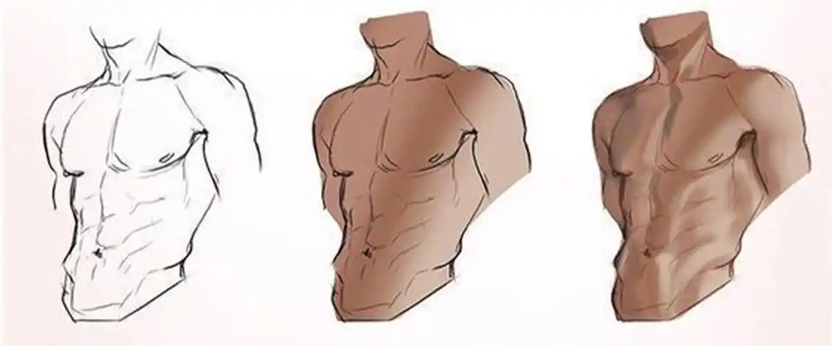 【男神腹肌】画法教程 - 知乎