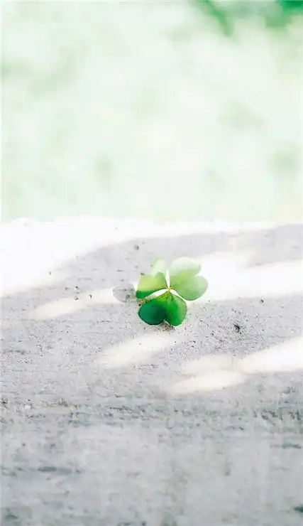 2020小清新风车手机壁纸高清图片好看的简约清新壁纸图片素材大全