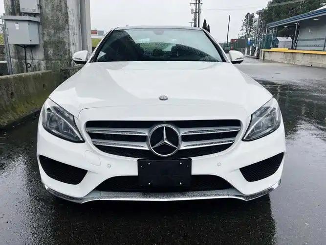 2016 奔驰 c300
