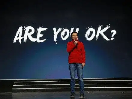 雷军公司曾申请areyouok商标现已被驳回