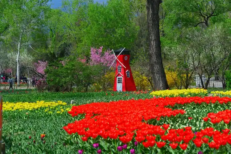 春天,植物园风景如画